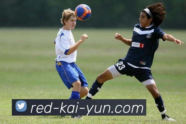 开云体育APP 封面图